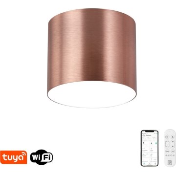 Immax NEO 07319L - LED Dimmable ceiling light RONDATE LED/18W/230V dia. 11.5 cm Wi-Fi Tuya Rose Gold