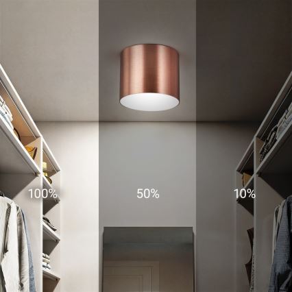 Immax NEO 07319L - LED Dimmable ceiling light RONDATE LED/18W/230V dia. 11.5 cm Wi-Fi Tuya Rose Gold