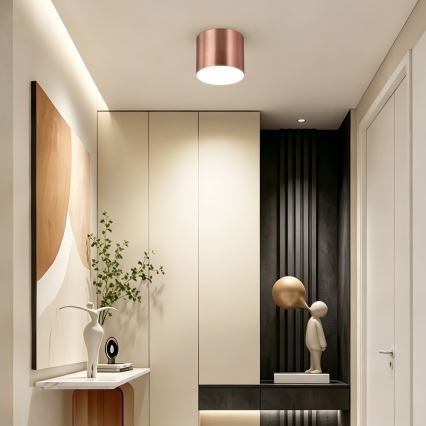 Immax NEO 07320L - RONDATE LED Dimmable Ceiling Light LED/32W/230V Ø 16.5 cm Tuya Wi-Fi, Rose Gold