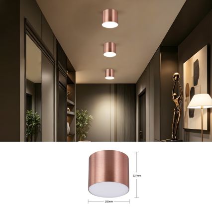 Immax NEO 07320L - RONDATE LED Dimmable Ceiling Light LED/32W/230V Ø 16.5 cm Tuya Wi-Fi, Rose Gold