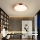 Immax NEO 07321L - NEO LITE SEMPLICI Dimmable LED Ceiling Light LED/36W/230V Ø 40 cm, Copper Finish + Remote Control