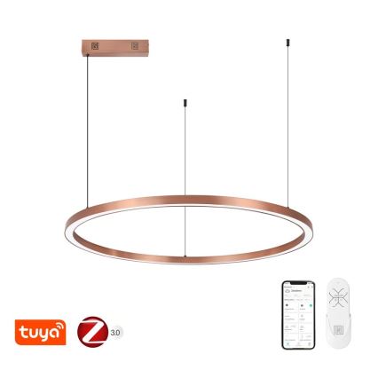 Immax NEO 07327L - FINO LED Dimmable Pendant Lamp on Cable LED/55W/230V, 80 cm, Rose Gold, Tuya + Remote Control