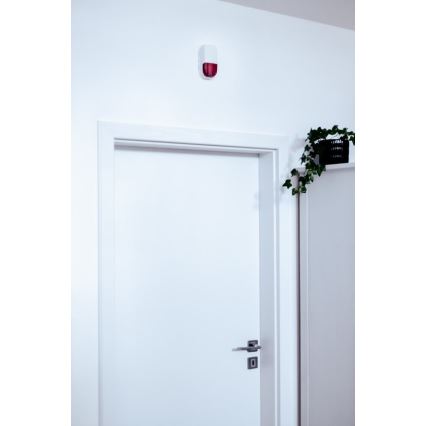 Immax NEO 07504L - Smart siren SMART 5V/95dB ZigBee 3.0 IP65 Tuya