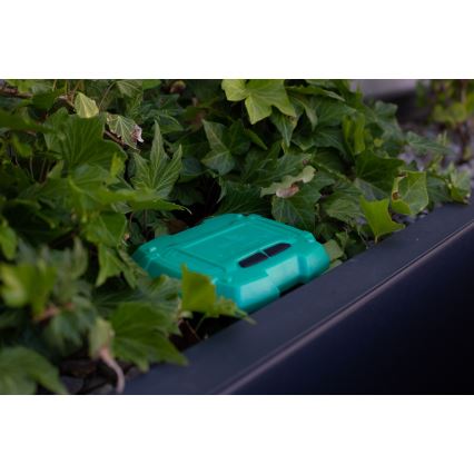 Immax NEO 07509L - Soil moisture and temperature sensor NEO LITE Wi-Fi 3xAAA IP65
