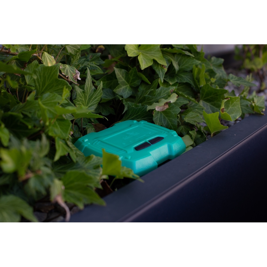 Immax NEO 07509L - Soil moisture and temperature sensor NEO LITE Wi-Fi 3xAAA IP65