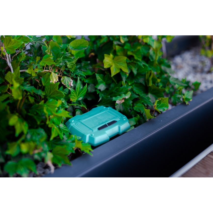 Immax NEO 07509L - Soil moisture and temperature sensor NEO LITE Wi-Fi 3xAAA IP65