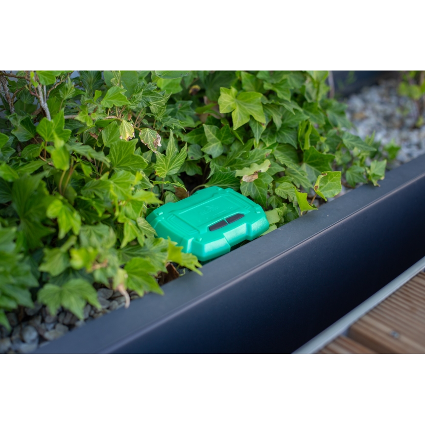 Immax NEO 07509L - Soil moisture and temperature sensor NEO LITE Wi-Fi 3xAAA IP65