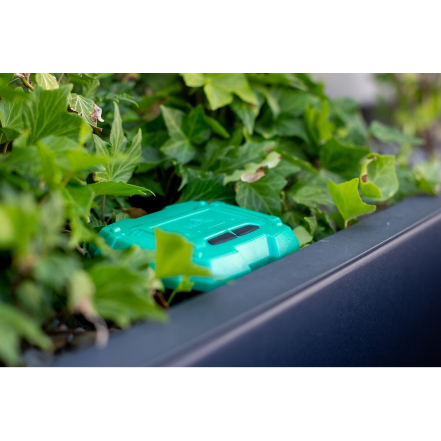 Immax NEO 07509L - Soil moisture and temperature sensor NEO LITE Wi-Fi 3xAAA IP65