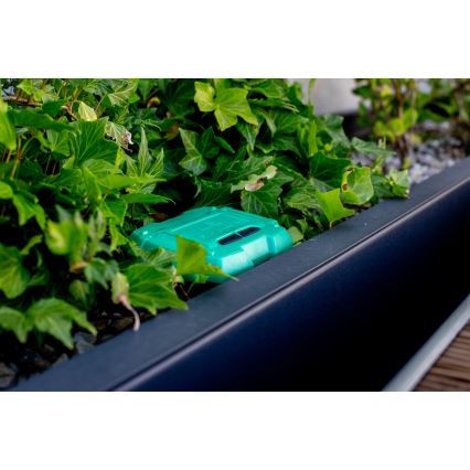 Immax NEO 07509L - Soil moisture and temperature sensor NEO LITE Wi-Fi 3xAAA IP65