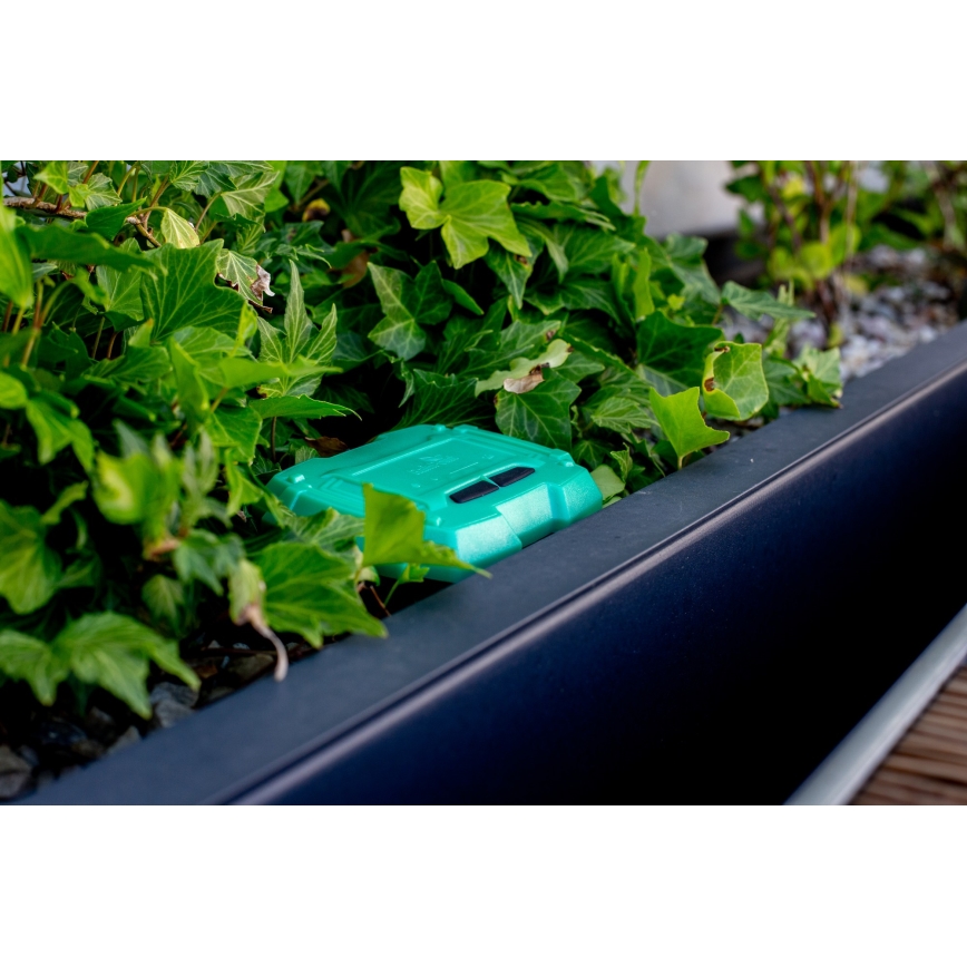 Immax NEO 07509L - Soil moisture and temperature sensor NEO LITE Wi-Fi 3xAAA IP65