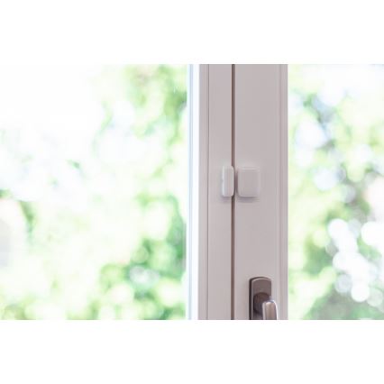Immax NEO 07511L - SET 2x Magnetic window and door sensor SMART 1xCR2032  Zigbee Tuya