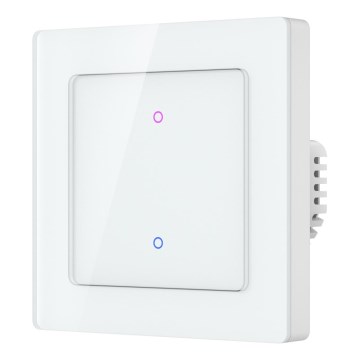 Immax NEO 07539L - SMART 2-button 230V Tuya Wi-Fi Switch