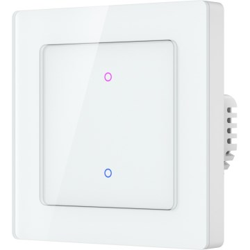 Immax NEO 07550L - 2-Button SMART Switch 230V