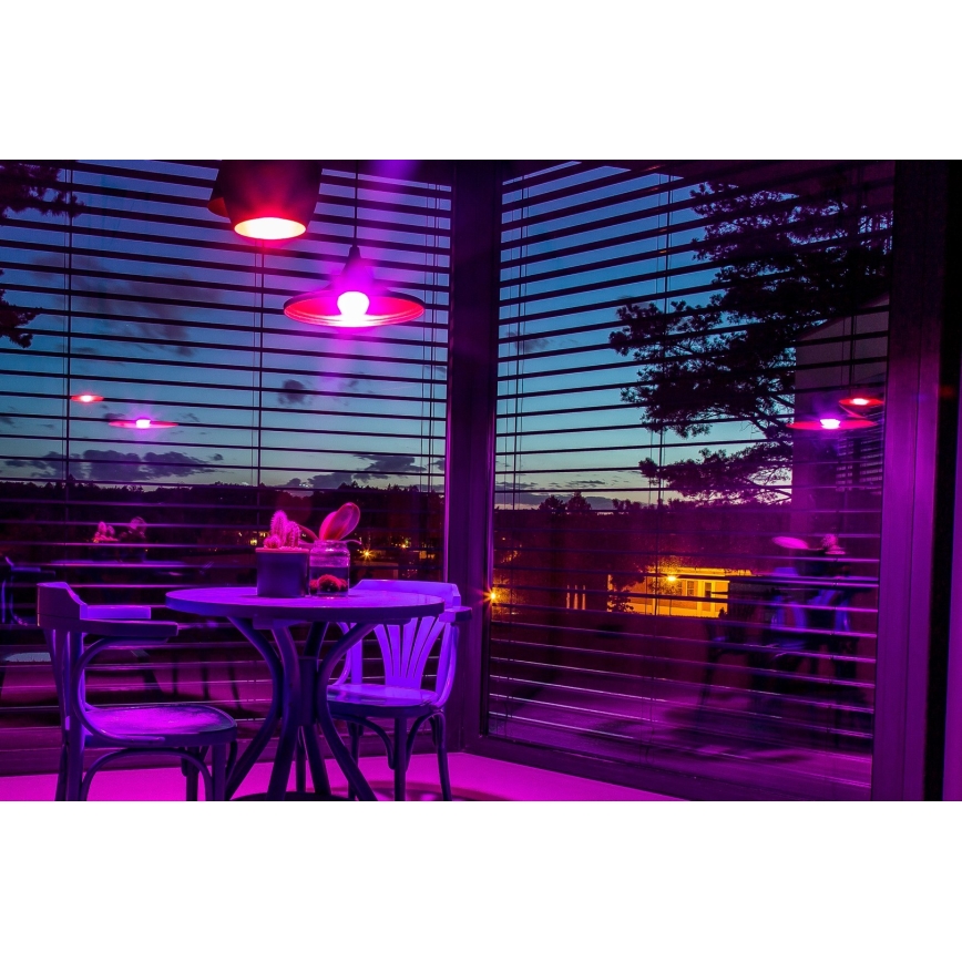 Immax NEO 07745CDO - Set of 3 Dimmable LED RGB+CCT Bulbs E14/6W/230V Wi-Fi + Remote Control