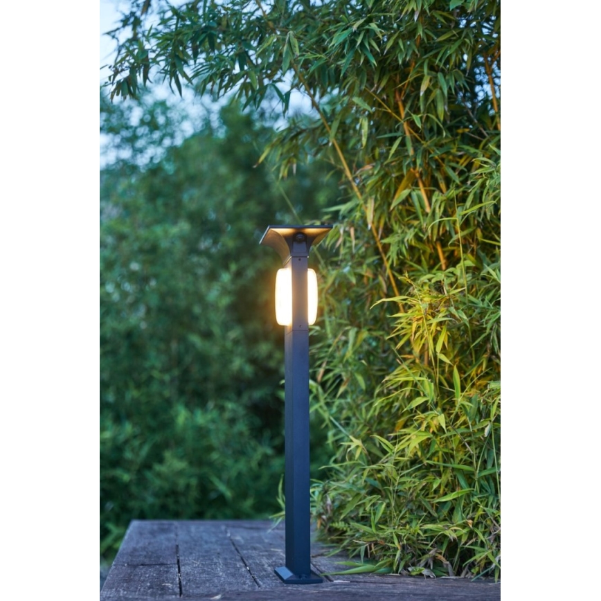 Immax NEO 07904L - LED RGB+CW/W Dimmable solar lamp ANEL LED/2W/5V IP54 Tuya