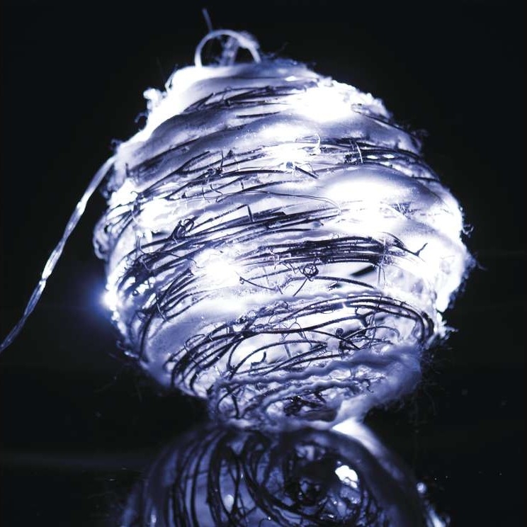 Indoor Christmas decoration IP20 XMAS 20xLED/2W/4,5V