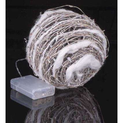 Indoor Christmas decoration IP20 XMAS 20xLED/2W/4,5V