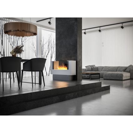 InFire - BIO fireplace 110x75 cm 3kW bifacial