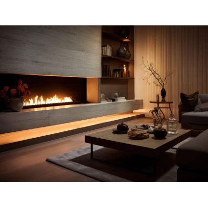 InFire - Built-in BIO fireplace 7,5x120 cm 7kW black