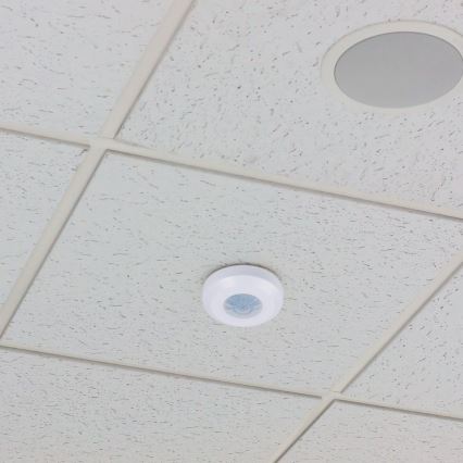 Infrared motion sensor 360° 200W/230V white