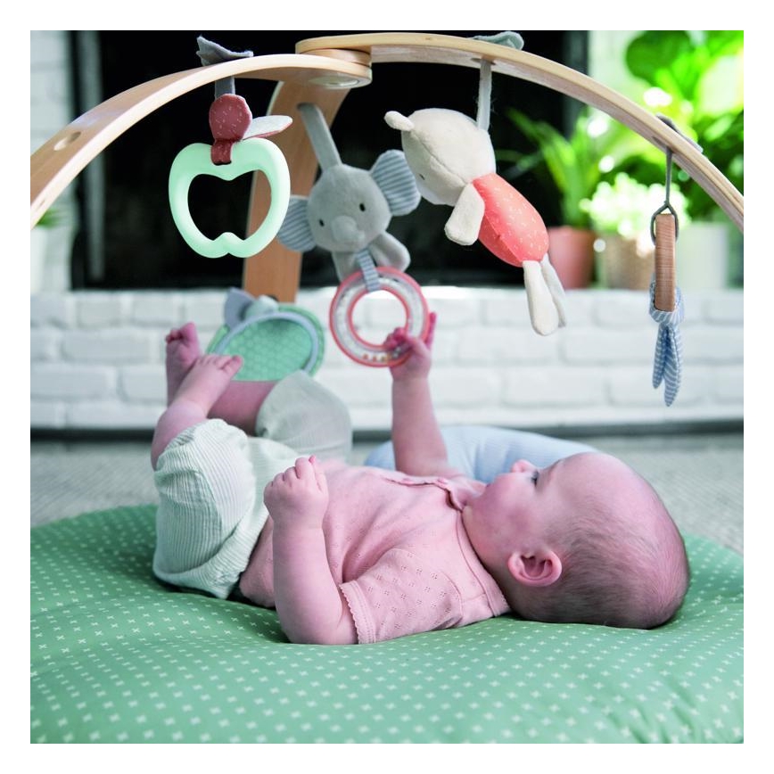 Ingenuity - Baby blanket for playing LOAMY mint/grey