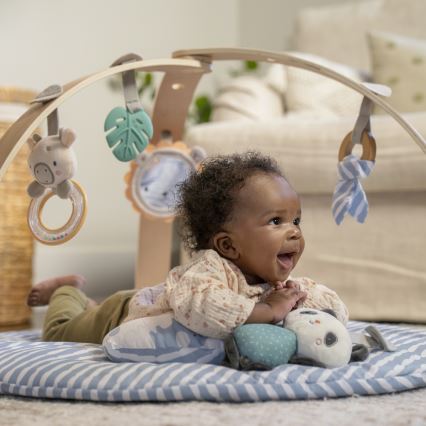 Ingenuity - Baby Play Mat ELEPHANT MARCH