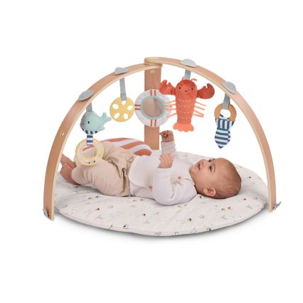 Ingenuity - Baby Play Mat HARBOR HEAVEN