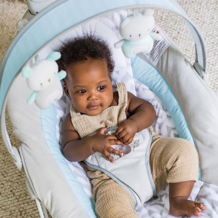 Ingenuity - Baby vibrating rocker with melody RAYLAN
