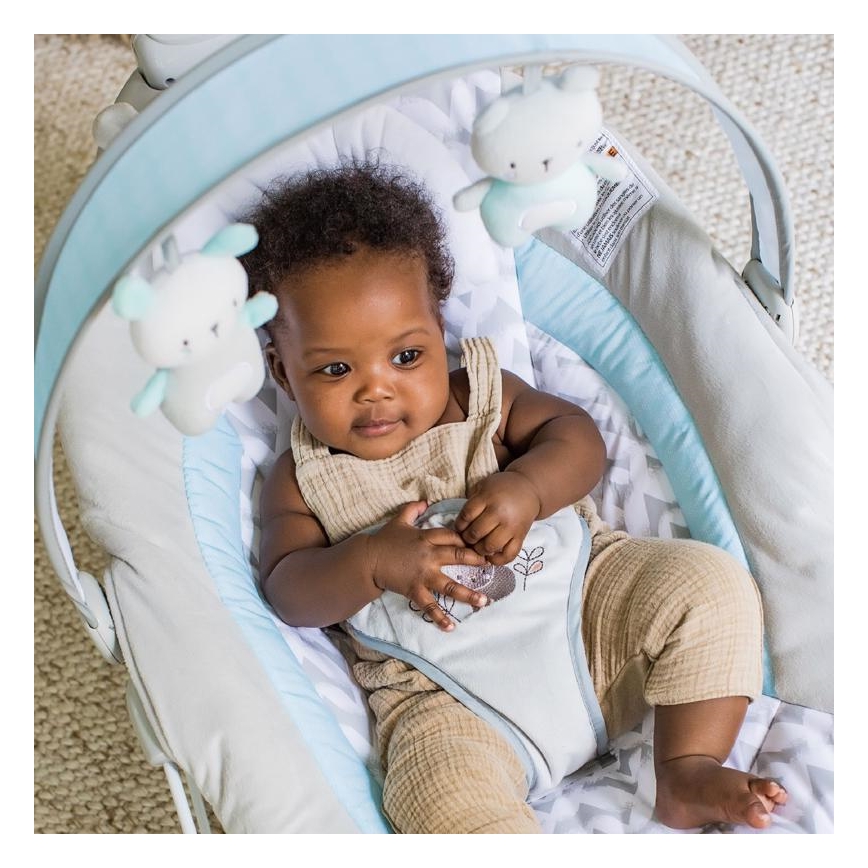 Ingenuity - Baby vibrating rocker with melody RAYLAN