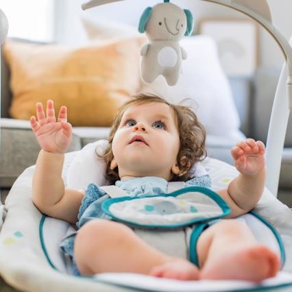 Ingenuity - Baby vibrating swing with melody 2in1 NASH