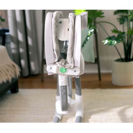 Ingenuity - Baby vibrating swing with melody ANYWAY SWAY RAY