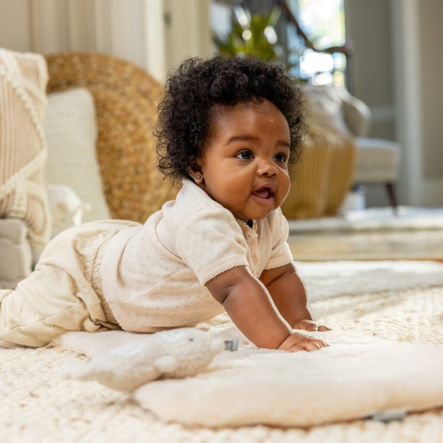 Ingenuity - Baby vibrating swing with melody EVERY SEASON grey