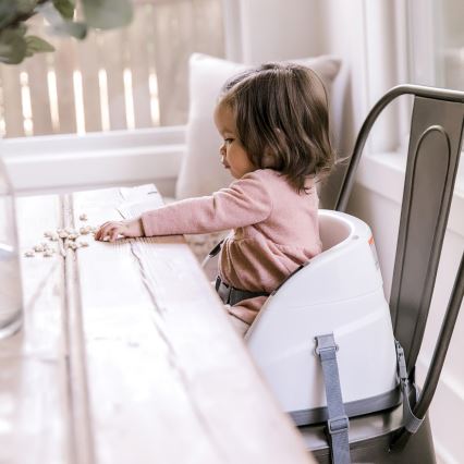 Ingenuity - Booster seat for dining table 2in1 BABY BASE grey