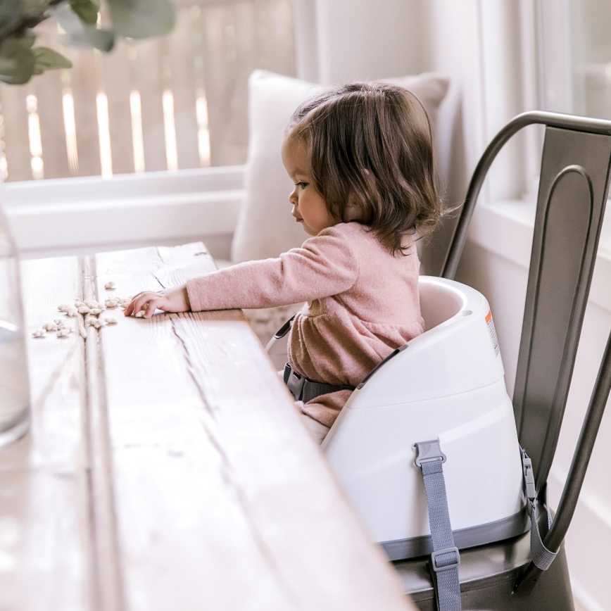 Ingenuity - Booster seat for dining table 2in1 BABY BASE grey