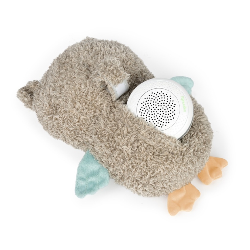 Ingenuity - Musical plush toy NALLY owl