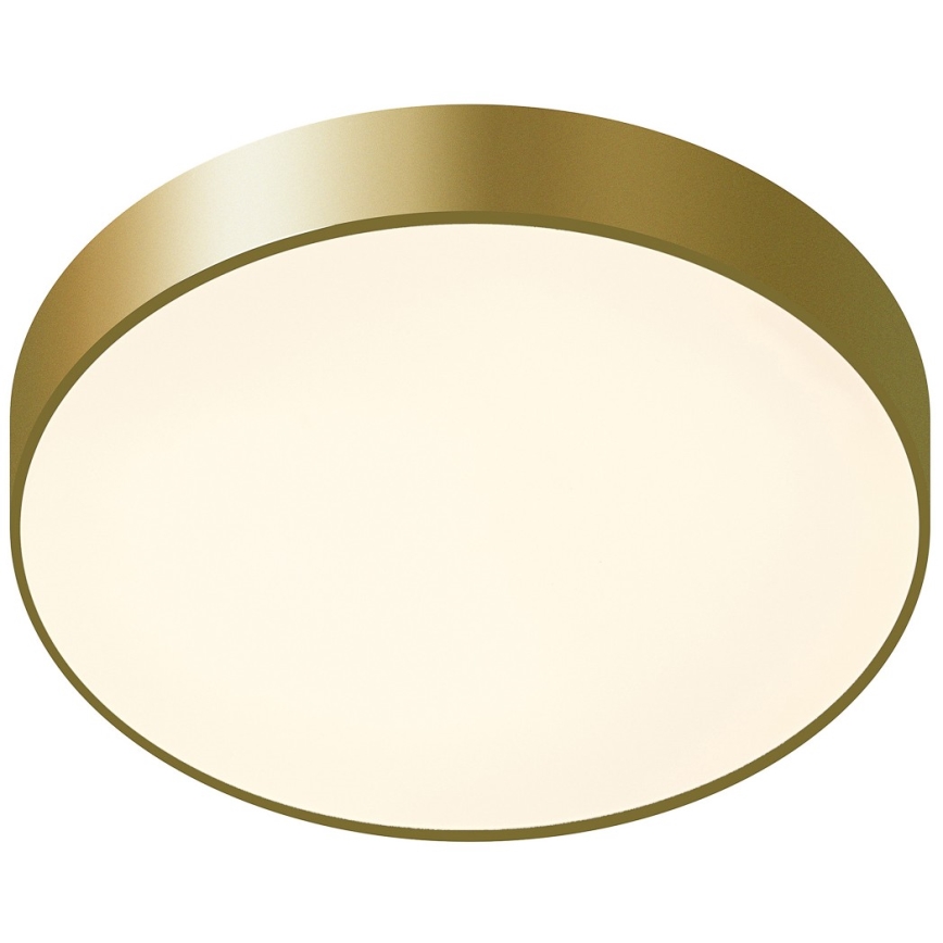 ITALUX - LED Ceiling light ORBITAL LED/30W/230V 3000K gold