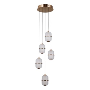 ITALUX - ALANI Cable-Suspended LED Chandelier 5xLED/5.6W/230V 3000K Gold