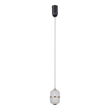 ITALUX - ALANI LED Cable Pendant Light LED/6W/230V 3000K Black/Gold