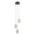 ITALUX - ALANI LED cable-suspended pendant 3xLED/5W/230V 3000K black/gold
