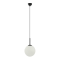ITALUX - Chandelier on a string DEORE 1xE27/40W/230V d. 25 cm black