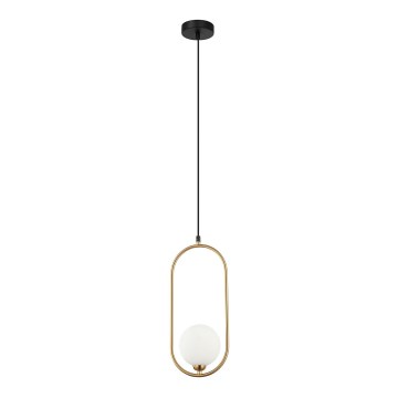 ITALUX - Chandelier on a string LUPUS 1xG9/25W/230V black/gold