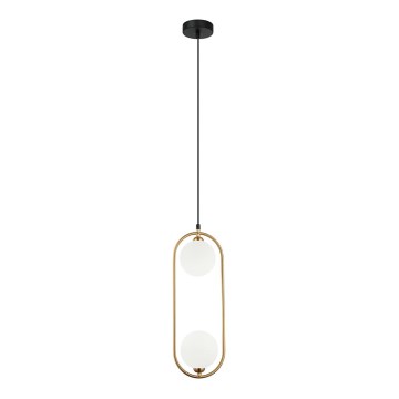 ITALUX - Chandelier on a string LUPUS 2xG9/25W/230V black/gold