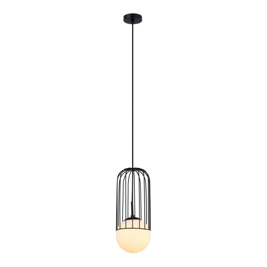 ITALUX - Chandelier on a string MATTY 1xE27/40W/230V d. 15 cm black