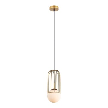 ITALUX - Chandelier on a string MATTY 1xE27/40W/230V d. 15 cm gold