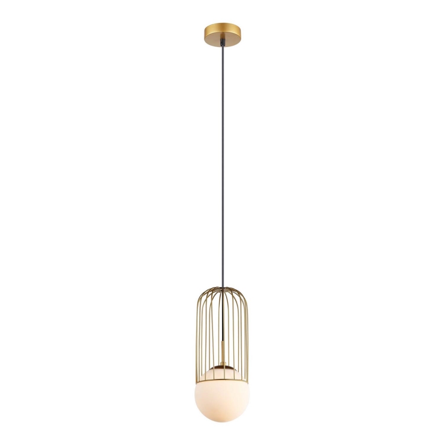 ITALUX - Chandelier on a string MATTY 1xE27/40W/230V d. 15 cm gold