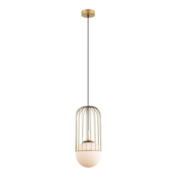 ITALUX - Chandelier on a string MATTY 1xE27/40W/230V d. 20 cm gold