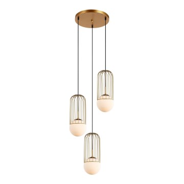 ITALUX - Chandelier on a string MATTY 3xE27/40W/230V gold
