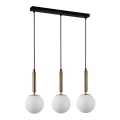 ITALUX - Chandelier on a string RAVENA 3xE27/10W/230V black/gold