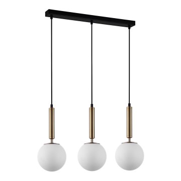ITALUX - Chandelier on a string RAVENA 3xE27/10W/230V black/gold