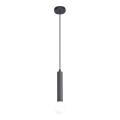 ITALUX - FILANO Cable Pendant 1xG9/5W/230V, Black